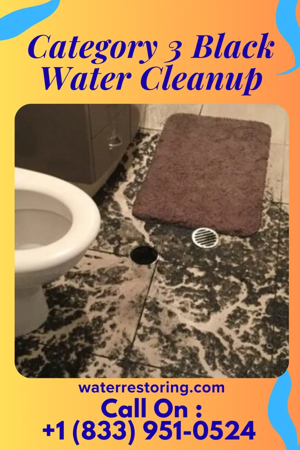 Category 3 Black Water Cleanup in Maple Heights-Lake Desire, WA